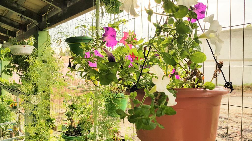 Pousada Flores De Bombinhas Zewnętrze zdjęcie